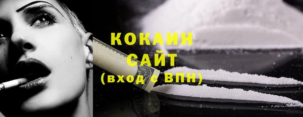 ешки Гусев