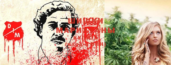 каннабис Арсеньев