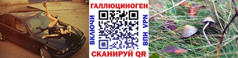 блэк спрут ТОР  цены   Онега  Псилоцибиновые грибы Psilocybe 